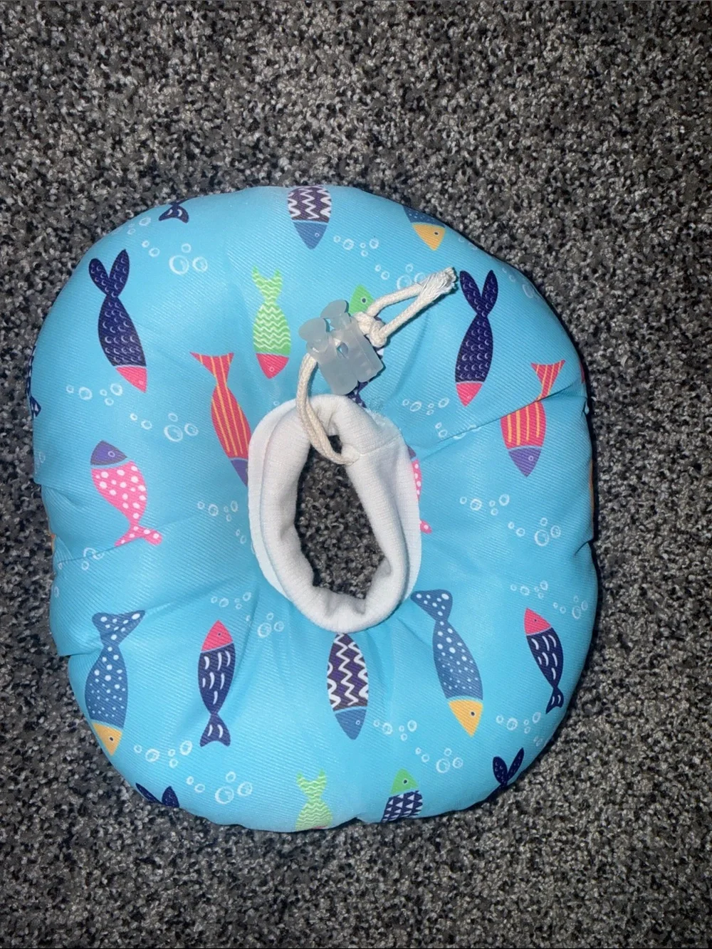 Cat recovery grooming donut collar